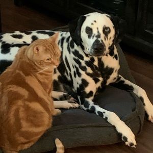 Meet your Posher, Chaffin